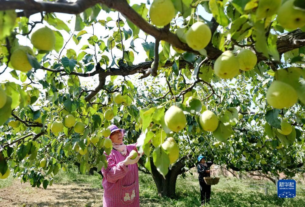 白菜送彩金59网站大全